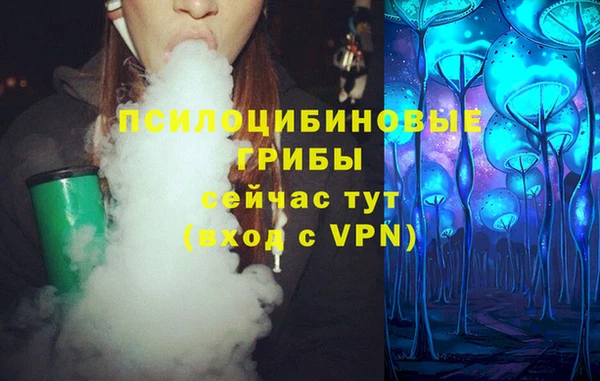 дурь Алексин