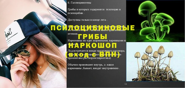 шишки Алексеевка