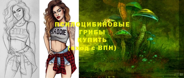 шишки Алексеевка